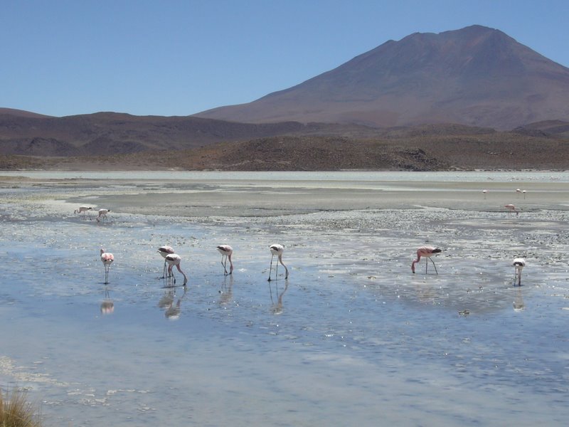 Travel - Bolivia - Salar De Uyuni - Laguna 2